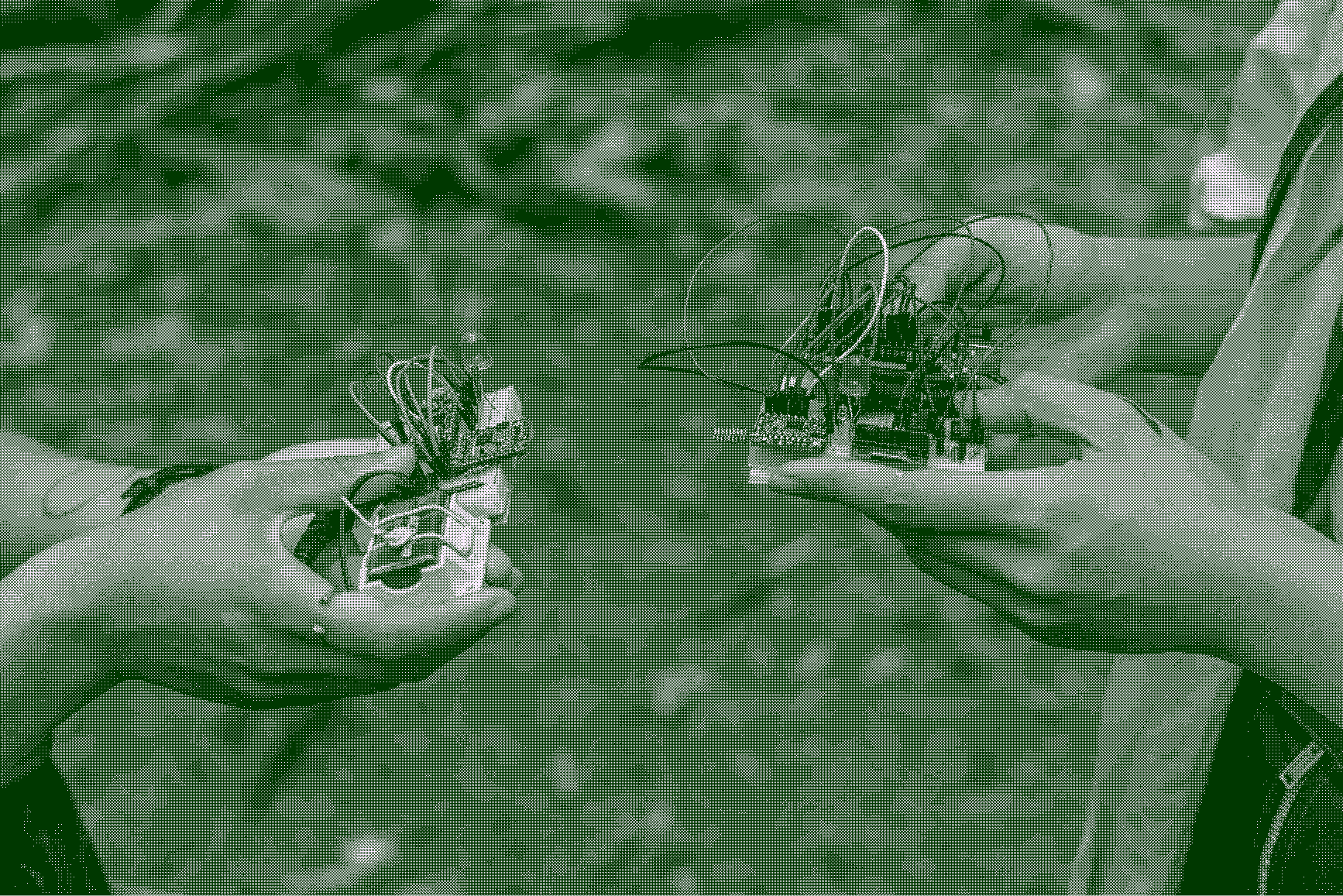 Quiet, and Sometimes Silent